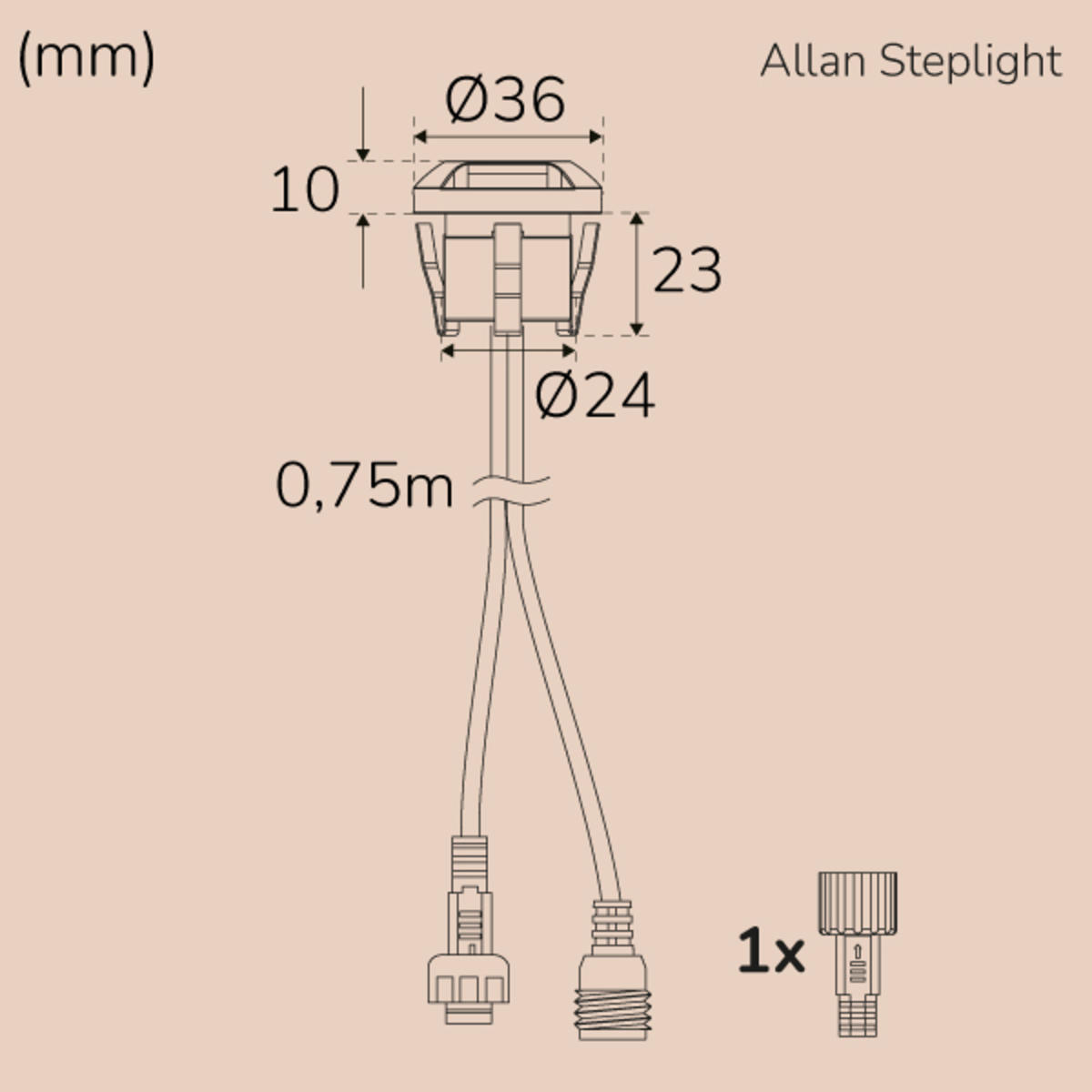 480016m.jpg