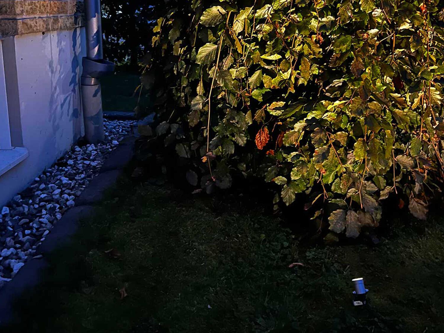 Allan More Spotlight