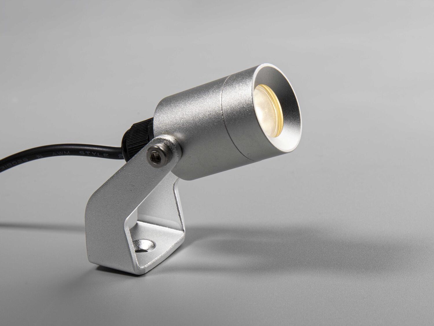 Allan More Spotlight